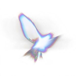 Meet your Posher, Hanson